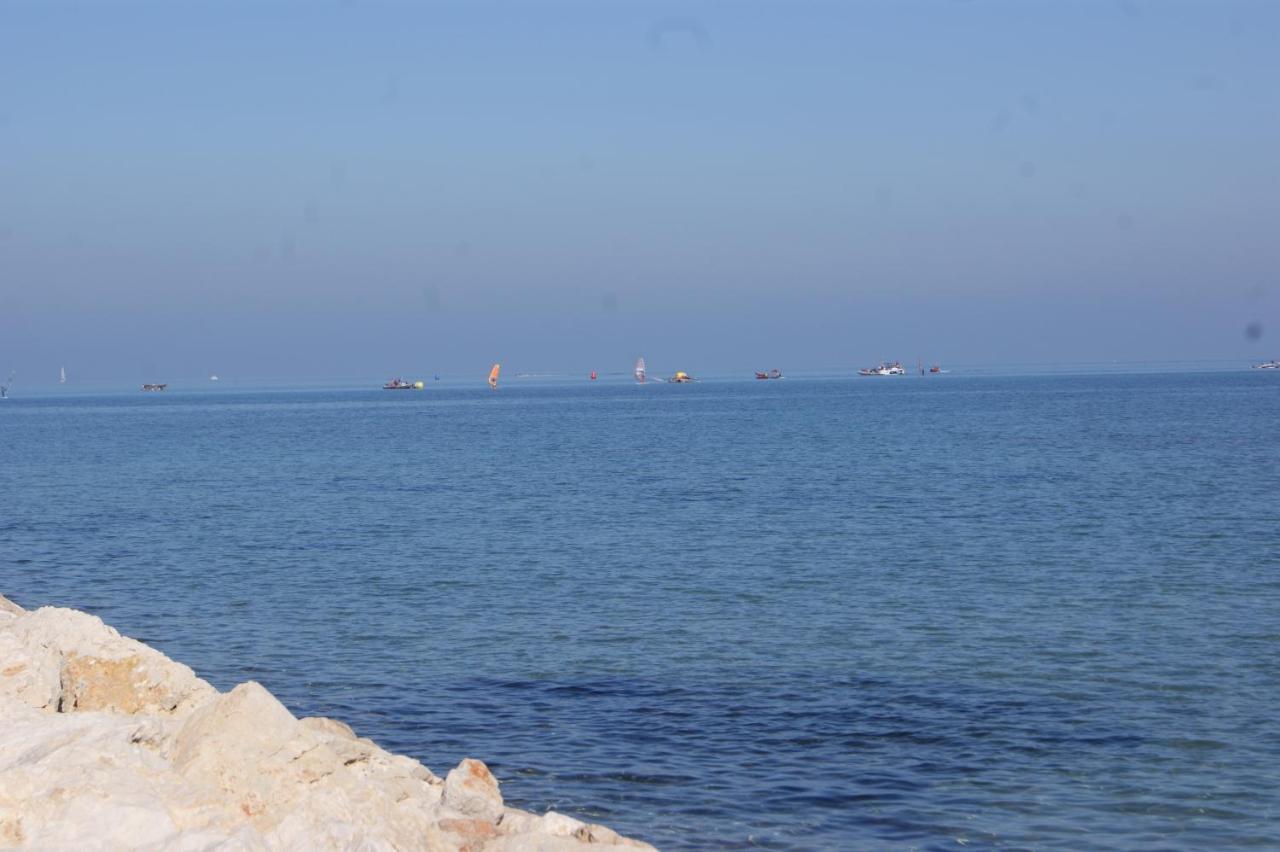Apartamento Marinas Ii En *